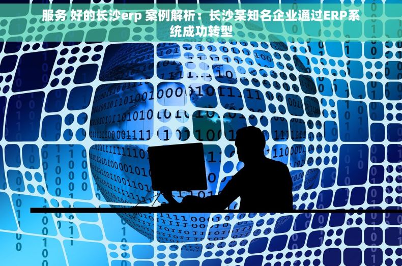 服务 好的长沙erp 案例解析：长沙某知名企业通过ERP系统成功转型