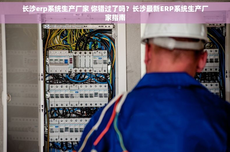长沙erp系统生产厂家 你错过了吗？长沙最新ERP系统生产厂家指南