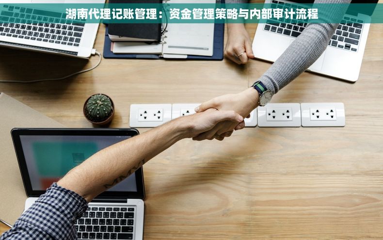 湖南代理记账管理：资金管理策略与内部审计流程