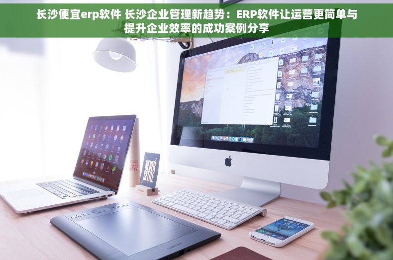 长沙便宜erp软件 长沙企业管理新趋势：ERP软件让运营更简单与提升企业效率的成功案例分享