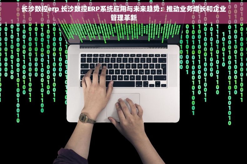长沙数控erp 长沙数控ERP系统应用与未来趋势：推动业务增长和企业管理革新