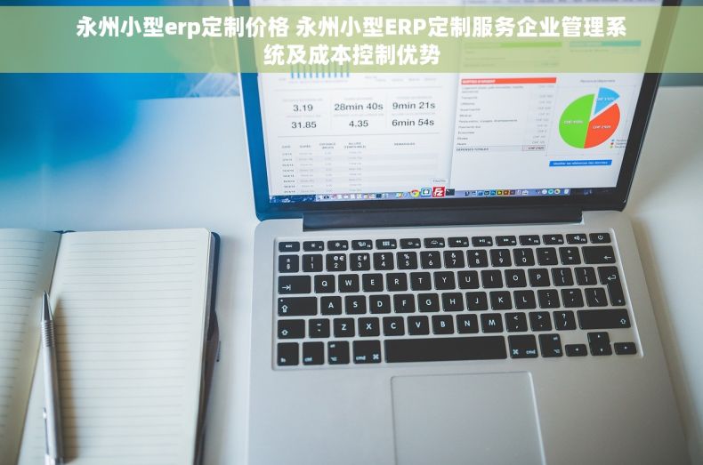 永州小型erp定制价格 永州小型ERP定制服务企业管理系统及成本控制优势