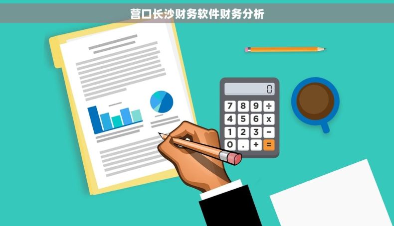 营口长沙财务软件财务分析
