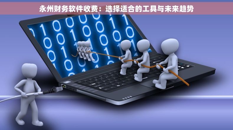 永州财务软件收费：选择适合的工具与未来趋势