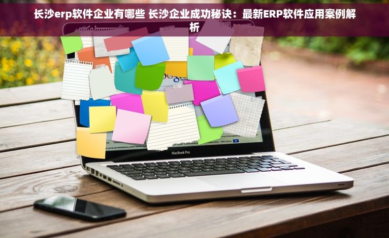 长沙erp软件企业有哪些 长沙企业成功秘诀：最新ERP软件应用案例解析