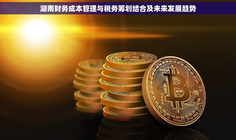 湖南财务成本管理与税务筹划结合及未来发展趋势