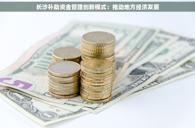 长沙补助资金管理创新模式：推动地方经济发展