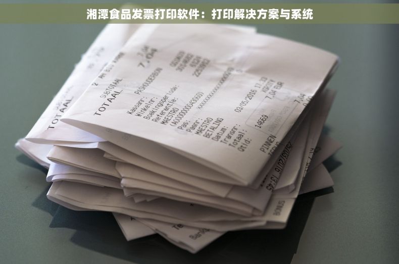 湘潭食品发票打印软件：打印解决方案与系统