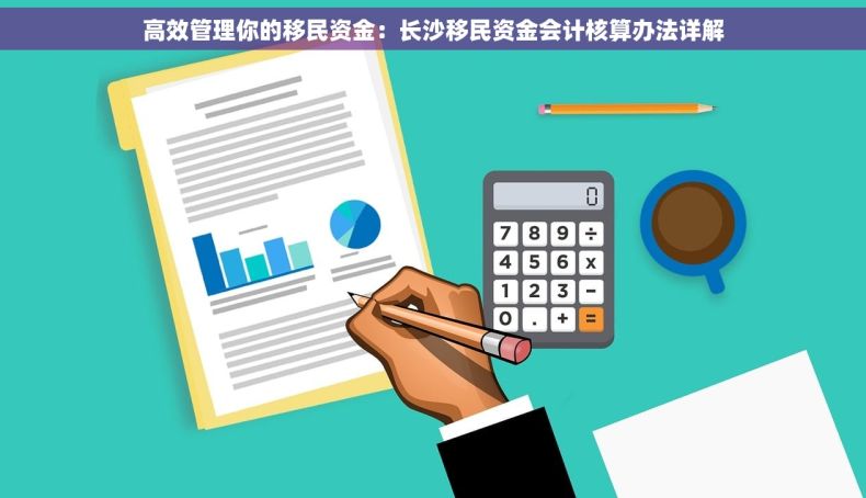 高效管理你的移民资金：长沙移民资金会计核算办法详解