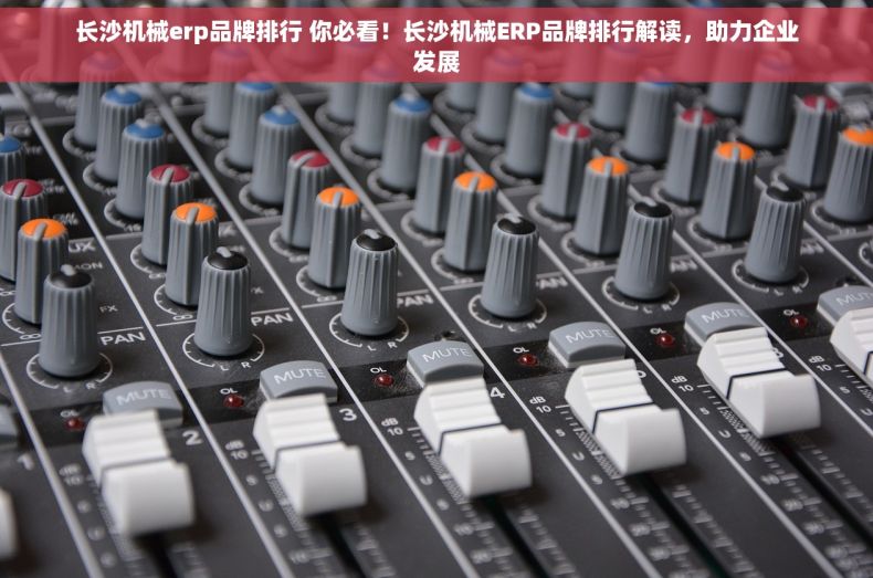 长沙机械erp品牌排行 你必看！长沙机械ERP品牌排行解读，助力企业发展