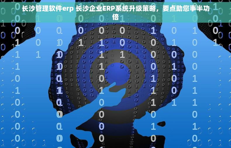 长沙管理软件erp 长沙企业ERP系统升级策略，要点助您事半功倍
