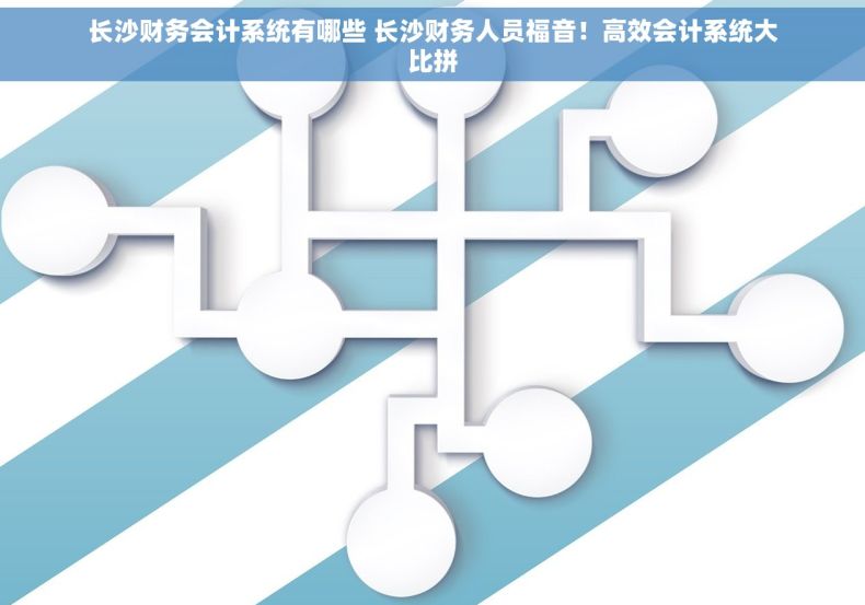 长沙财务会计系统有哪些 长沙财务人员福音！高效会计系统大比拼