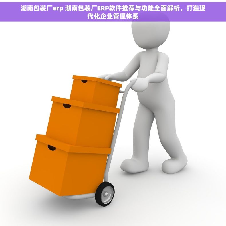 湖南包装厂erp 湖南包装厂ERP软件推荐与功能全面解析，打造现代化企业管理体系