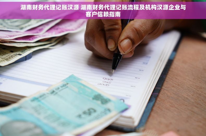 湖南财务代理记账汉源 湖南财务代理记账流程及机构汉源企业与客户信赖指南