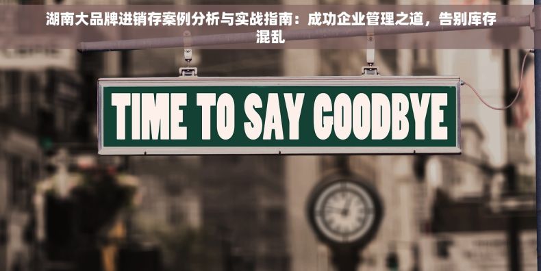 湖南大品牌进销存案例分析与实战指南：成功企业管理之道，告别库存混乱