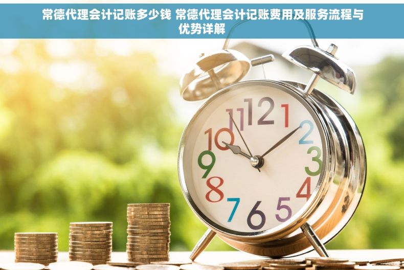 常德代理会计记账多少钱 常德代理会计记账费用及服务流程与优势详解