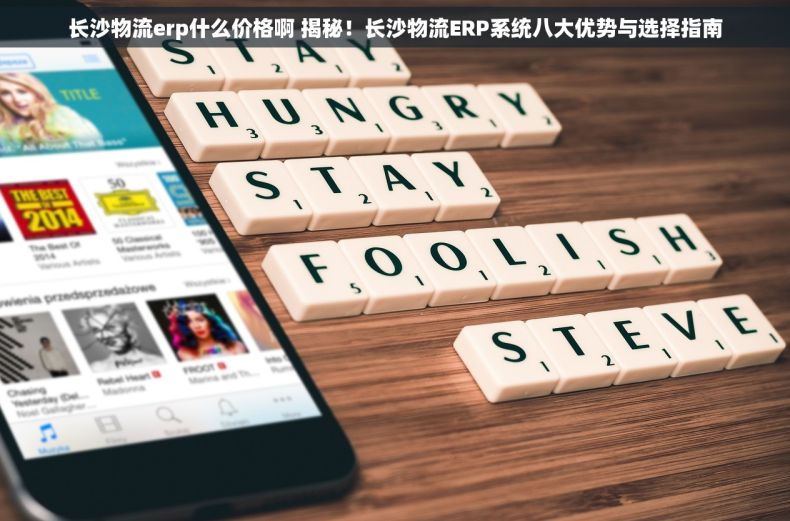 长沙物流erp什么价格啊 揭秘！长沙物流ERP系统八大优势与选择指南