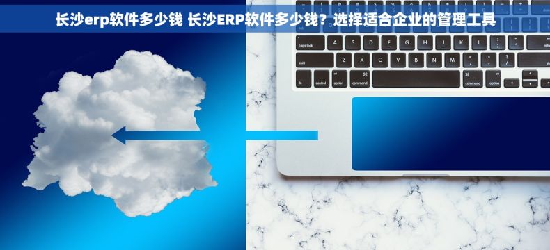 长沙erp软件多少钱 长沙ERP软件多少钱？选择适合企业的管理工具