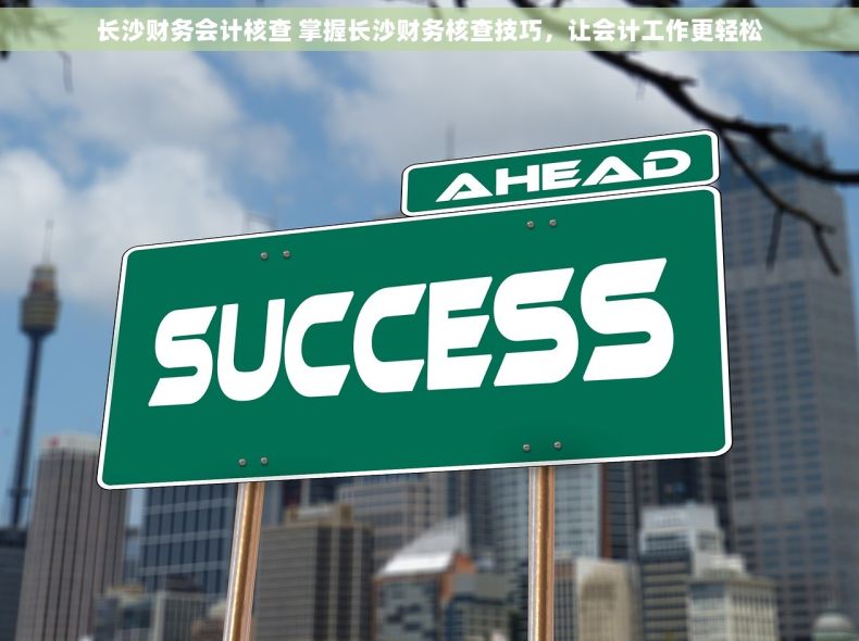 长沙财务会计核查 掌握长沙财务核查技巧，让会计工作更轻松