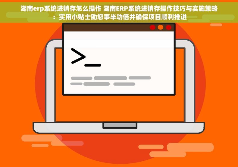 湖南erp系统进销存怎么操作 湖南ERP系统进销存操作技巧与实施策略：实用小贴士助您事半功倍并确保项目顺利推进
