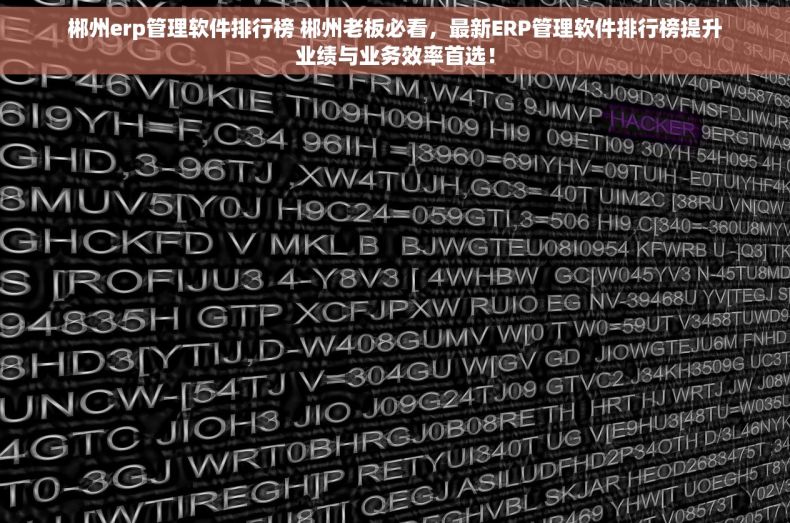 郴州erp管理软件排行榜 郴州老板必看，最新ERP管理软件排行榜提升业绩与业务效率首选！
