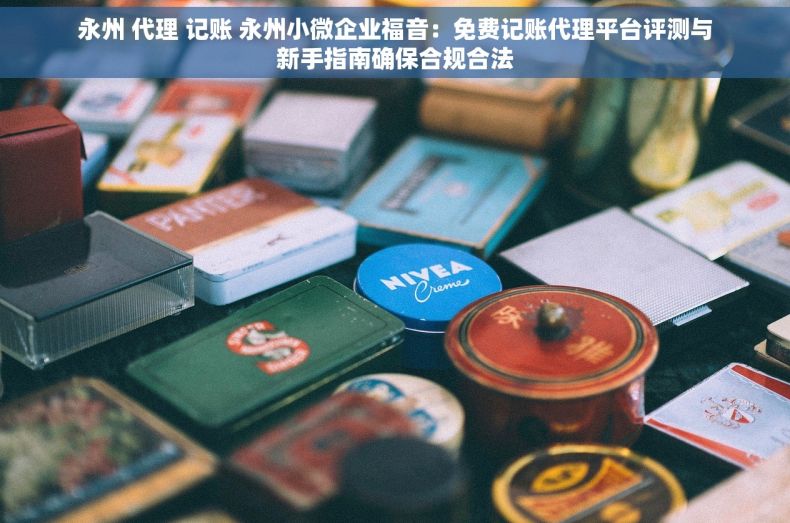 永州 代理 记账 永州小微企业福音：免费记账代理平台评测与新手指南确保合规合法
