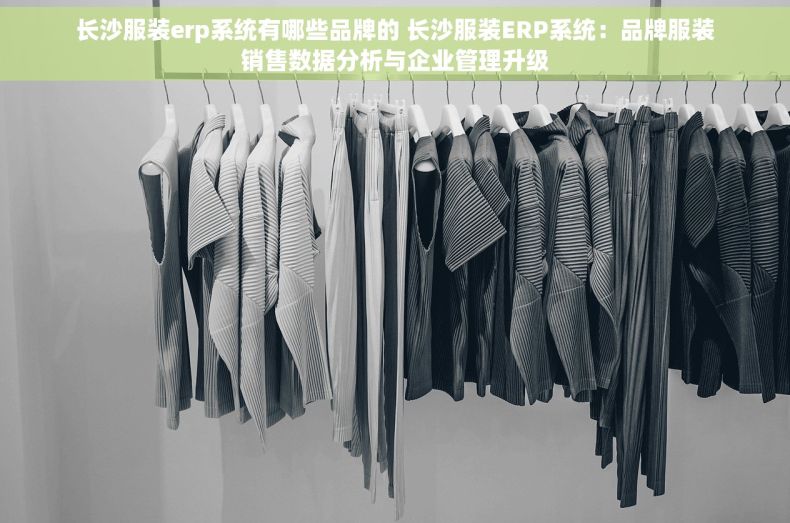 长沙服装erp系统有哪些品牌的 长沙服装ERP系统：品牌服装销售数据分析与企业管理升级