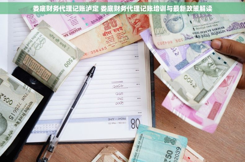 娄底财务代理记账泸定 娄底财务代理记账培训与最新政策解读