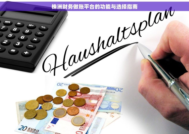株洲财务做账平台的功能与选择指南