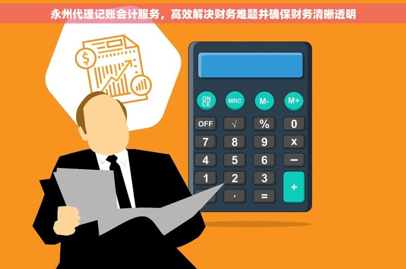 永州代理记账会计服务，高效解决财务难题并确保财务清晰透明