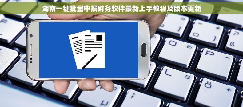 湖南一键批量申报财务软件最新上手教程及版本更新