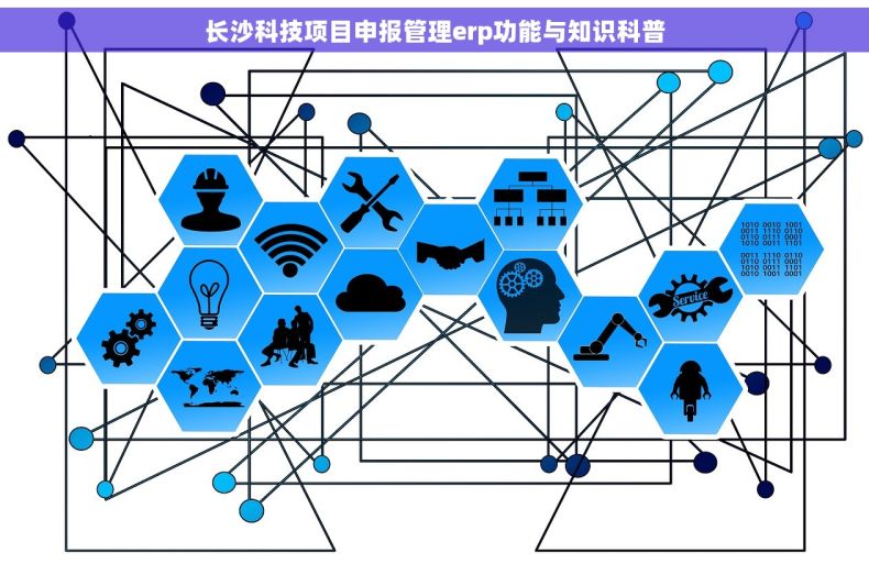 长沙科技项目申报管理erp功能与知识科普