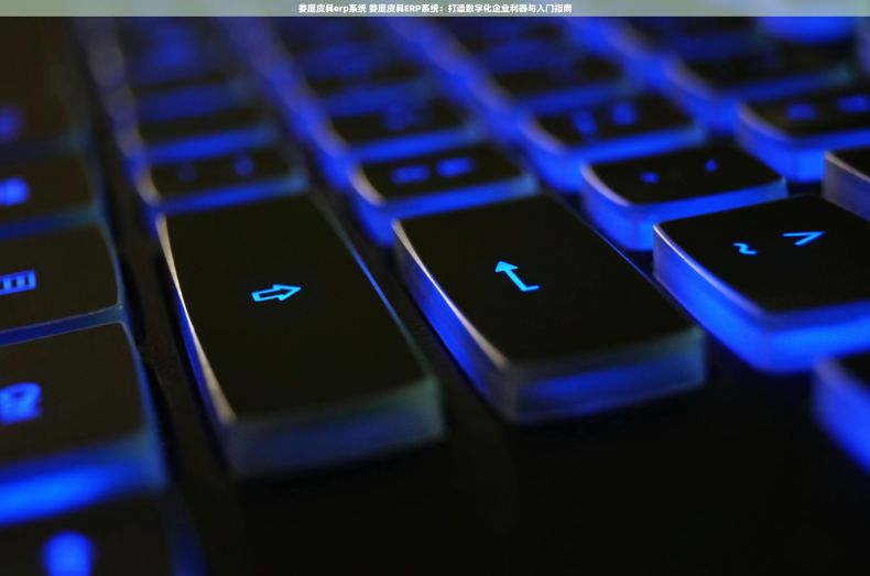 娄底皮具erp系统 娄底皮具ERP系统：打造数字化企业利器与入门指南