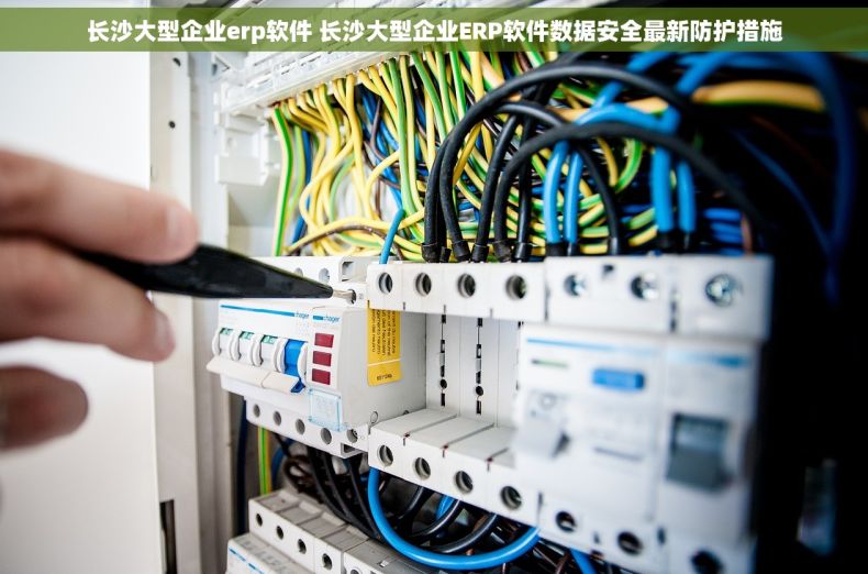 长沙大型企业erp软件 长沙大型企业ERP软件数据安全最新防护措施