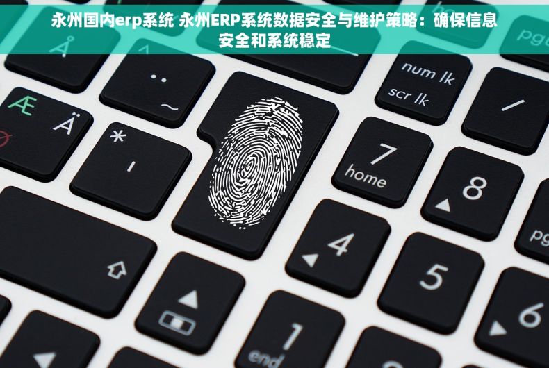 永州国内erp系统 永州ERP系统数据安全与维护策略：确保信息安全和系统稳定