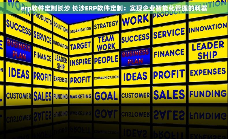 erp软件定制长沙 长沙ERP软件定制：实现企业智能化管理的利器