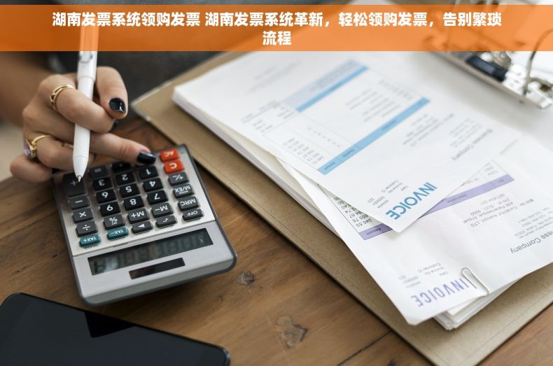 湖南发票系统领购发票 湖南发票系统革新，轻松领购发票，告别繁琐流程