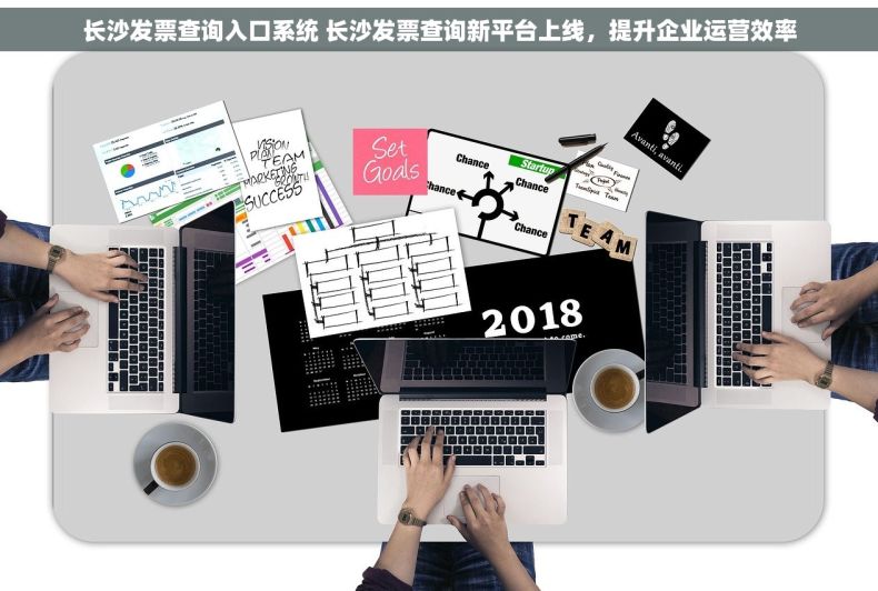 长沙发票查询入口系统 长沙发票查询新平台上线，提升企业运营效率