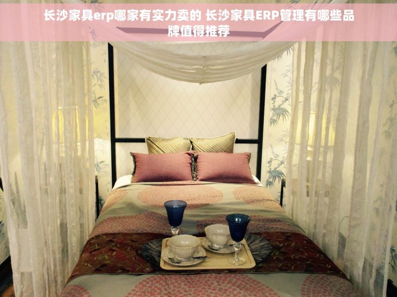 长沙家具erp哪家有实力卖的 长沙家具ERP管理有哪些品牌值得推荐