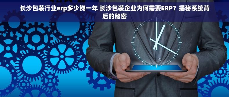 长沙包装行业erp多少钱一年 长沙包装企业为何需要ERP？揭秘系统背后的秘密
