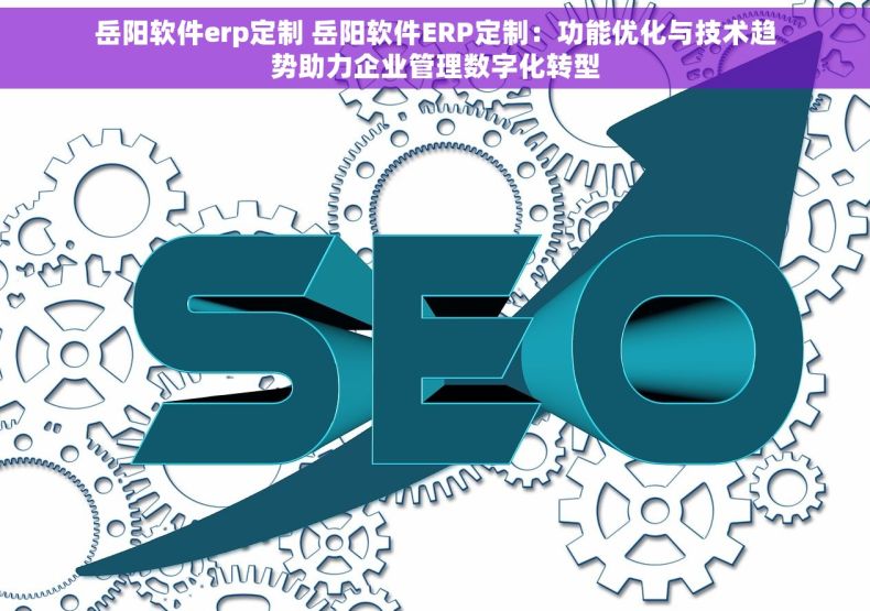 岳阳软件erp定制 岳阳软件ERP定制：功能优化与技术趋势助力企业管理数字化转型