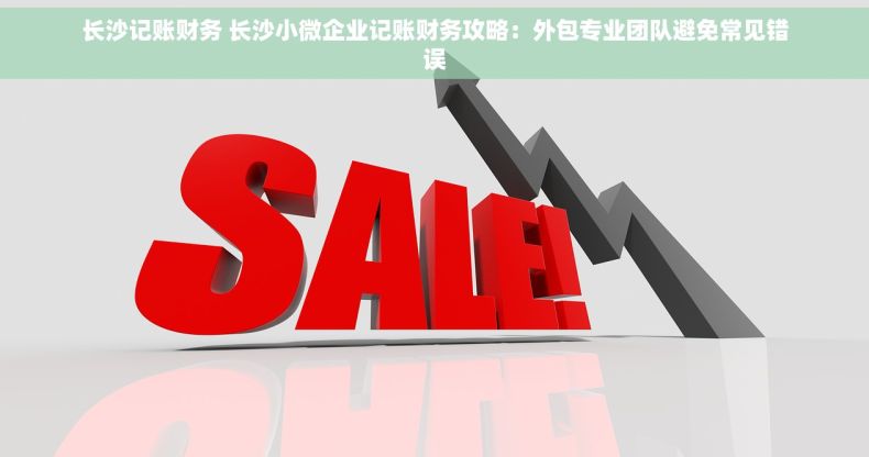 长沙记账财务 长沙小微企业记账财务攻略：外包专业团队避免常见错误