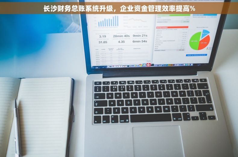 长沙财务总账系统升级，企业资金管理效率提高%