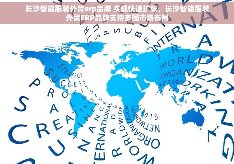 长沙智能服装外贸erp品牌 实现快速扩张，长沙智能服装外贸ERP品牌支持多国市场布局