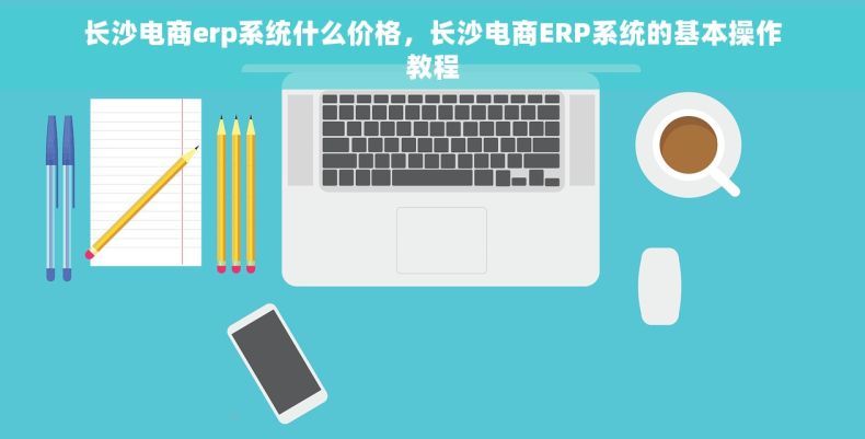 长沙电商erp系统什么价格，长沙电商ERP系统的基本操作教程