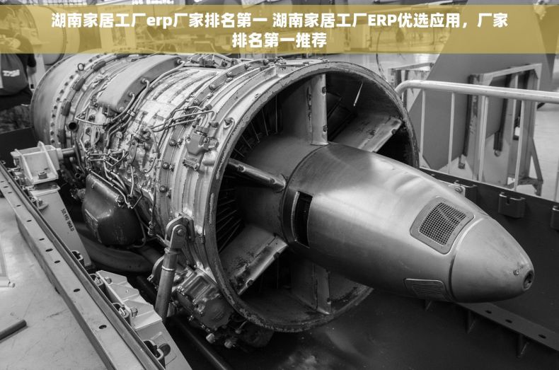 湖南家居工厂erp厂家排名第一 湖南家居工厂ERP优选应用，厂家排名第一推荐