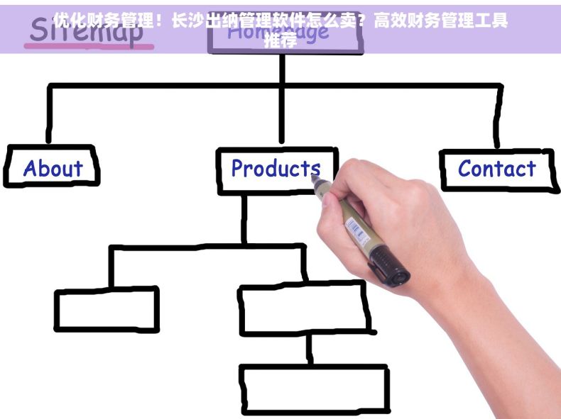 优化财务管理！长沙出纳管理软件怎么卖？高效财务管理工具推荐