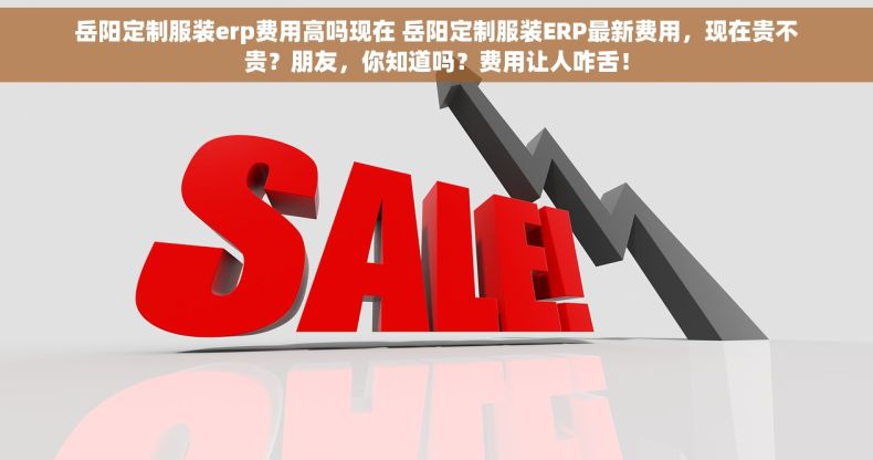 岳阳定制服装erp费用高吗现在 岳阳定制服装ERP最新费用，现在贵不贵？朋友，你知道吗？费用让人咋舌！