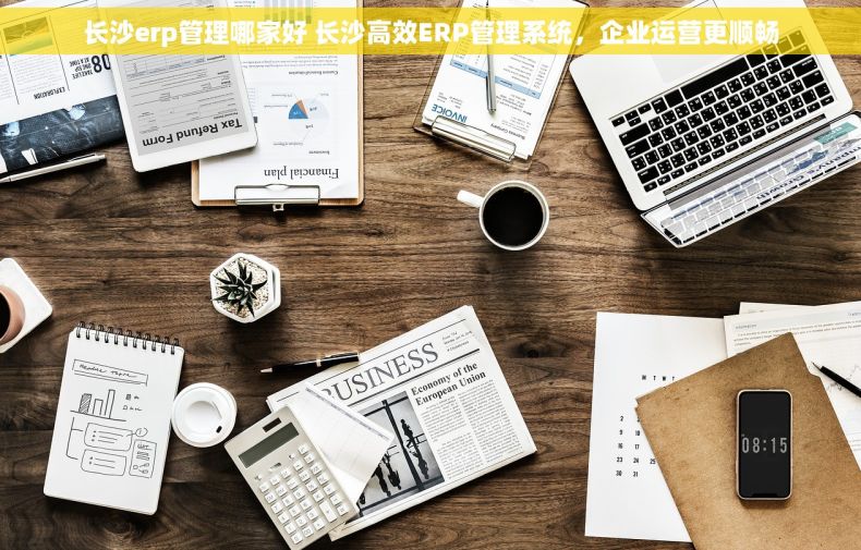 长沙erp管理哪家好 长沙高效ERP管理系统，企业运营更顺畅