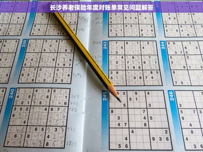 长沙养老保险年度对账单常见问题解答